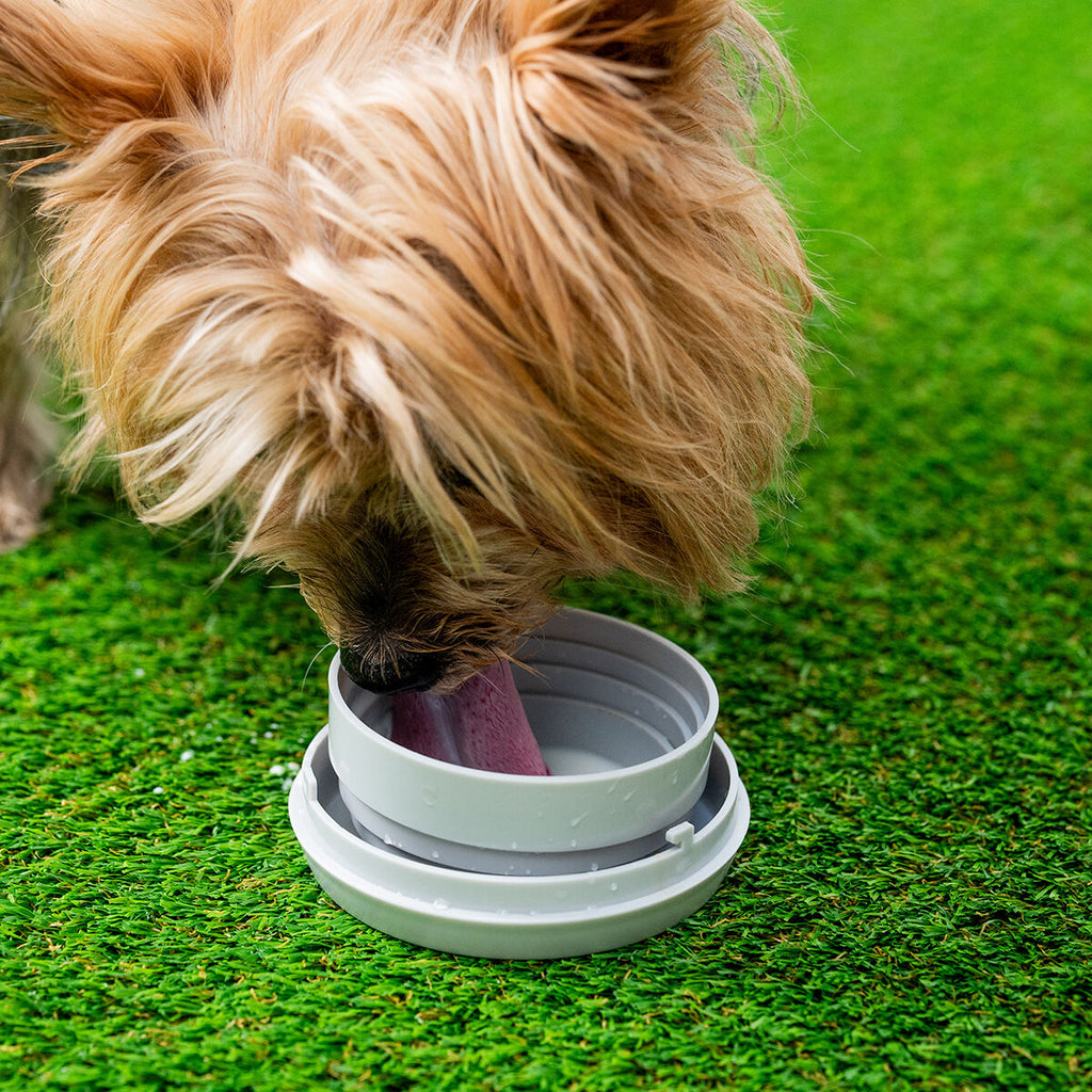 6-i-1 Smart Hundkoppel med LED-ljus och Förvaring